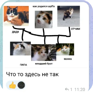 🐱 emoji Малинка Telegram sticker 15 of 84