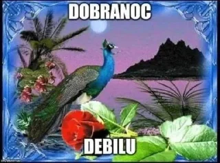 🌝 emoji комфортне спілкування не існує Telegram sticker 14 of 93