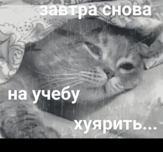 Sticker from Ну а чоб нет