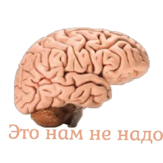 🗑 emoji Египетская сила Telegram sticker 11 of 30