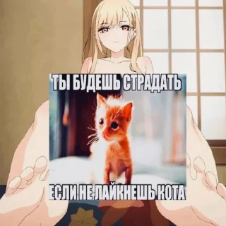 👍 emoji Котики2(@Gos_Aye) Telegram sticker 11 of 80