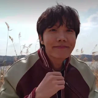🍁 emoji hoseok @heslu Telegram sticker 2 of 40