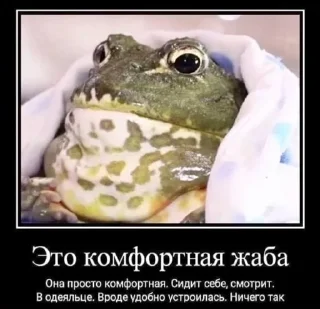 🌟 emoji Трёхэтажная_ЛЕГУЩЬКА Telegram sticker 14 of 120