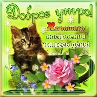 💋 emoji спокойной ночи/ доброе утро Telegram sticker 18 of 39