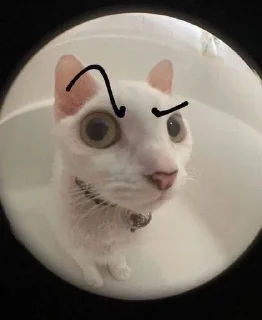 🤨 emoji Котеке Telegram sticker 6 of 17