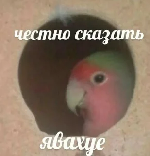 😗 emoji пикчи от @flleeywp4 Telegram sticker 19 of 45