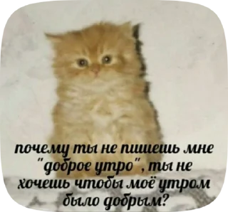 🥺 emoji малыха бомба Telegram sticker 17 of 45