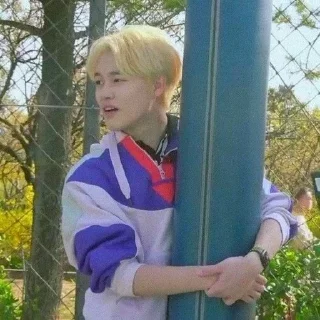 🐬 emoji chenle by @stikersnct Telegram sticker 8 of 65