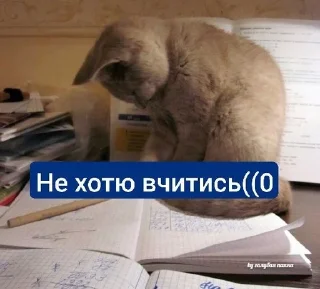 ☹️ emoji Щось типу...🤨 Telegram sticker 19 of 120