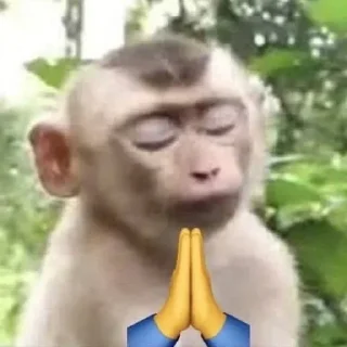 🙏 emoji pdlmily Telegram sticker 15 of 35