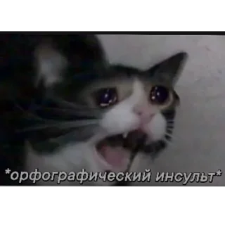 🙀 emoji Мемная история | @folderformems Telegram sticker 11 of 95