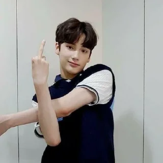 🖕 emoji любимки Telegram sticker 23 of 25