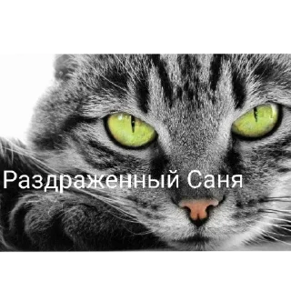 🐱 emoji Санечка UWU Telegram sticker 8 of 27