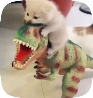 🥹 emoji Котята Telegram sticker 11 of 15