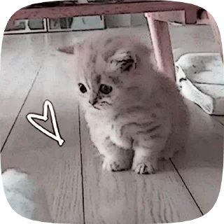 🤼‍♂️ emoji Котята Telegram sticker 5 of 15