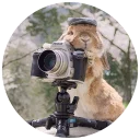 👀 emoji Хитрый кролик Telegram sticker 23 of 74