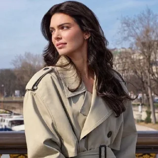🌟 emoji kendall jenner @Stic20Min Telegram sticker 14 of 75