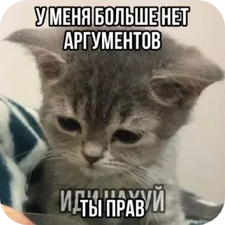 Sticker from @STICKRULE <- БОЛЬШЕ