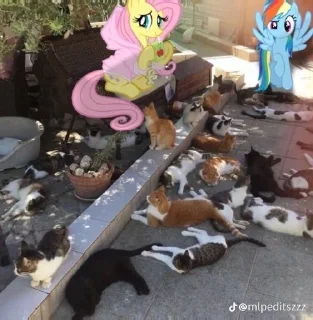😻 emoji май литал пони кхем Telegram sticker 24 of 29