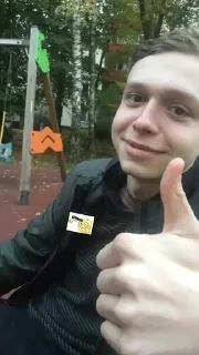 👍 emoji Денисочка pig Telegram sticker 20 of 59
