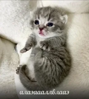 Sticker from метадоновый передоз