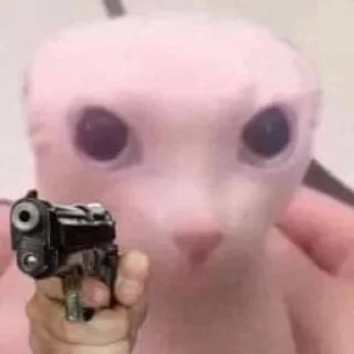 🔫 emoji Cat Telegram sticker 2 of 16