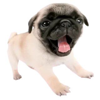 😵 emoji мама папа криминал Telegram sticker 10 of 70