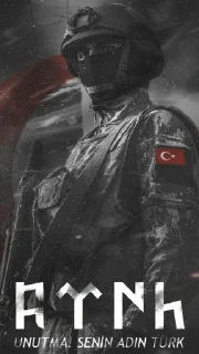 🇹🇷 emoji Türk Otdusu Telegram sticker 10 of 42