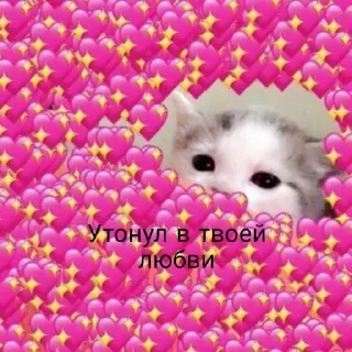 💖 emoji 🐈‍⬛️ @noona_stickers ˓𓄹 ࣪˖ Telegram sticker 9 of 120