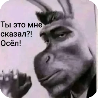 🖼 emoji Завали ебало Telegram sticker 12 of 58