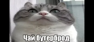 Sticker from Бананчики @MoiStikiBot