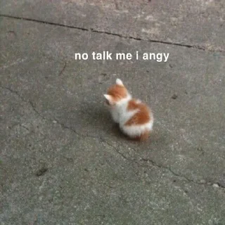 Sticker from kitty