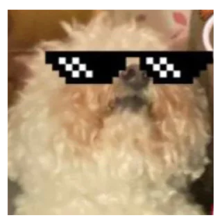 💥 emoji Империя Мэмов Telegram sticker 23 of 42