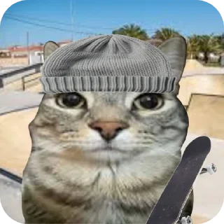 Sticker from Cat