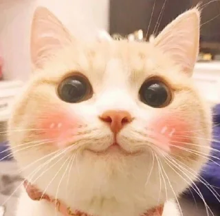 ❤️ emoji ✙я кто-то ✙ Telegram sticker 21 of 38