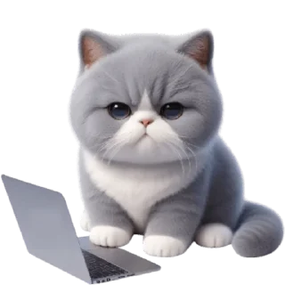 🤓 emoji Котик Грей @Nyasticks Telegram sticker 17 of 43
