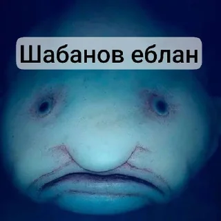 🤡 emoji Капля 11анал Telegram sticker 6 of 15