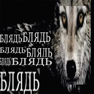 Sticker from волк не в цирке