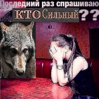 🗡 emoji волк не в цирке Telegram sticker 10 of 24