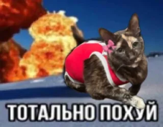 🌟 emoji масяндра для выебонов Telegram sticker 12 of 27