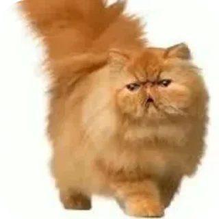 😞 emoji Армия Telegram sticker 6 of 21