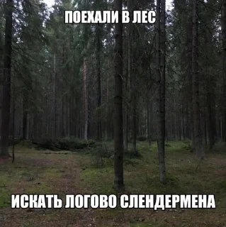 Sticker from эмоции