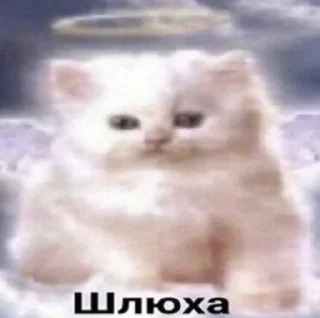Sticker from хуйня