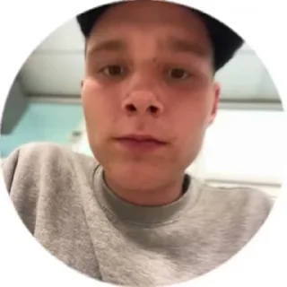 🌟 emoji «Васильевы« Telegram sticker 11 of 20