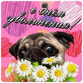 Sticker from с днём дня | @careerwithh
