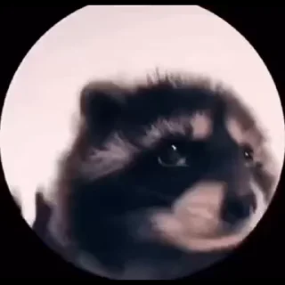 Sticker from shrek