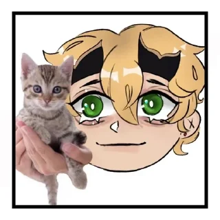 😼 emoji Киці Ґеншин Аску Telegram sticker 11 of 25