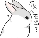 Sticker from Machiko rabbit :: @line_stickers