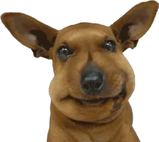 🐶 emoji 7-8 Sobak by @OverthrowGamebot Telegram sticker 10 of 73