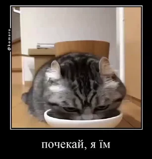 ☺️ emoji Український Komaru Telegram sticker 16 of 50